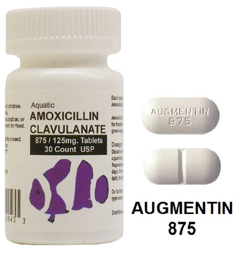 Amoxicillin Pot Clavulanate 875 125 Mg Oral Tablet Augmentin 1g Einnahme