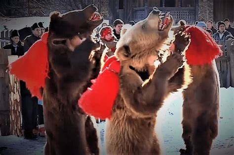 Dance Of The Bear A Pre Christian Tradition Well Preserved In Romania