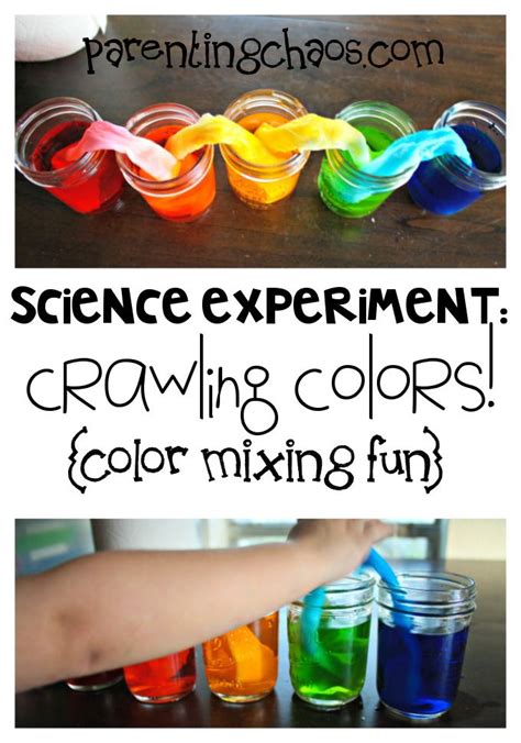 Crawling Colors A Fun Color Mixing Science Experiment