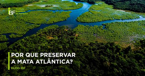 Importancia Da Mata Atlantica