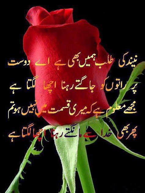 Urdu Poetry With Red Rose Urdu Adab