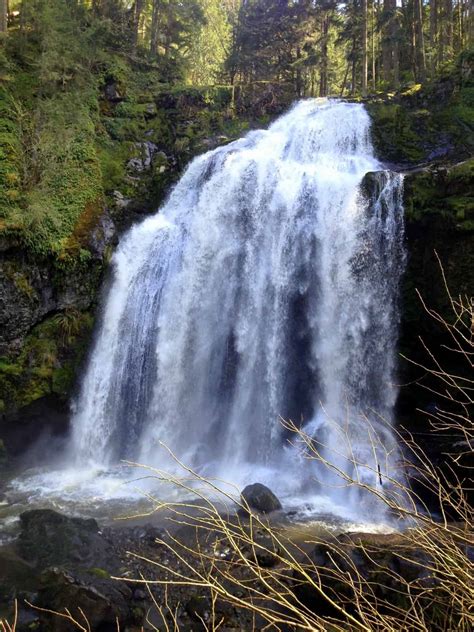 Little Mashel Falls Visit Rainier