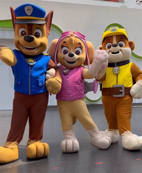 Paw Patrol Characters Paramount Skye Nickelodeon Mascot Chase