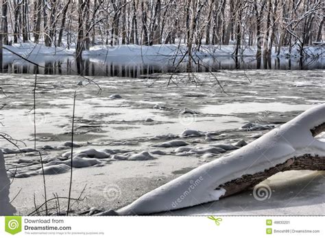 Snow On A Log In The Grand River Stock Image Image Of Snow Cold 48830201