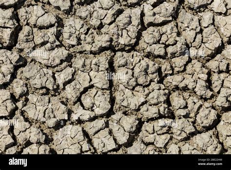 Dry Cracked Dirt Closeup Stock Photo Alamy