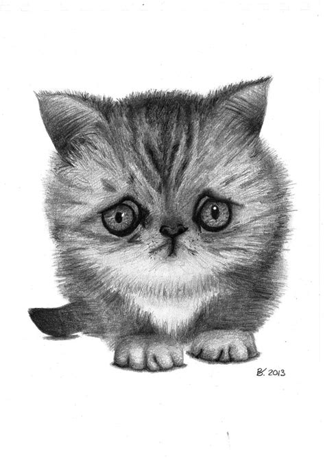 7 Best Art By Barbara Vugs Cute Animals Images On Pinterest Art Art Drawings Of And Adorable