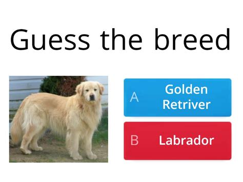 Guess The Dog Breed Test