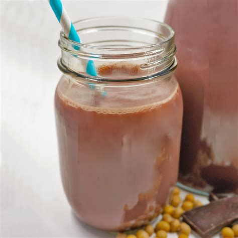 Ace Blender Chocolate Soy Milk Instant Pot Recipes