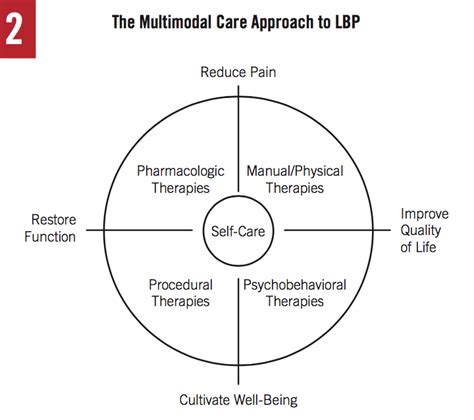 A Patient Centered Approach To Low Back Pain Science And Strategies