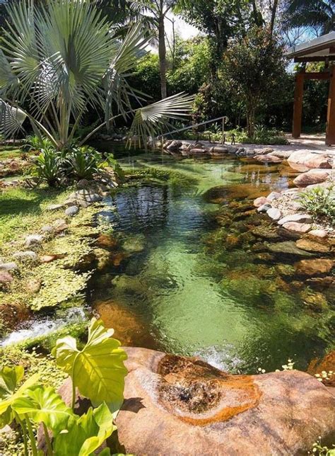 42 Awesome Natural Small Pools Design Ideas Best For Private Backyard Trendehouse Ponds