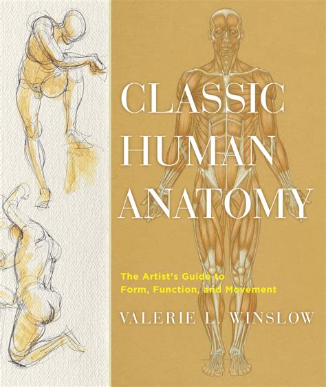 Classic Human Anatomy By Valerie L Winslow Penguin Books Australia
