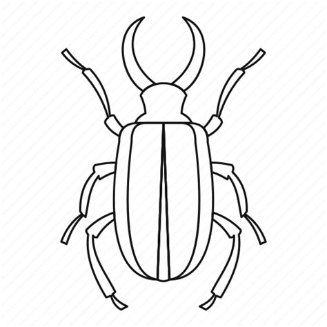 Beetle Bug Cervus Insect Line Lucanus Outline Icon Download On