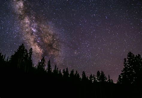 Fotos Gratis Paisaje árbol Naturaleza Cielo Noche Estrella Vía