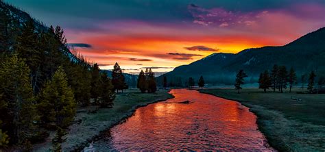 West Entrance Road W Entrance Rd Yellowstone National Park Wy Usa