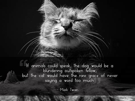 Great Quotes About Pets 21 Pics