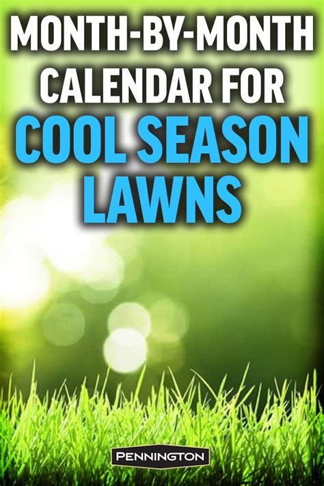 Lawn Care Schedule Lawn Care Tips Lawn And Garden Backyard Garden
