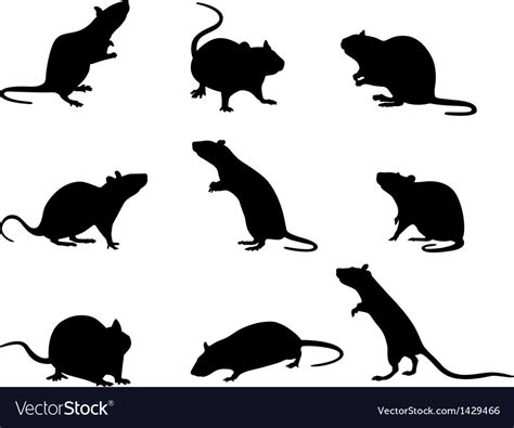 Silhouettes Of Rats Royalty Free Vector Image Vectorstock