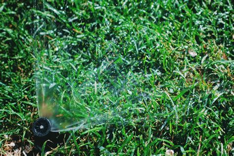 When lawns are growing, they respond well to cultivation tasks that improve soil quality. When to Stop Watering Your Lawn in The Fall? - Turf Rain