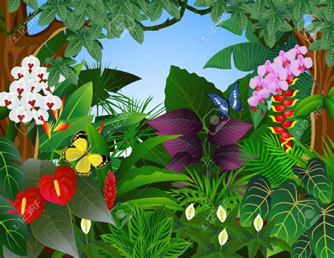 Rainforest Clip Art For Kids Free Clipart Images Wikiclipart Images