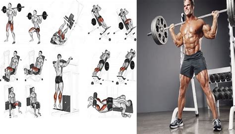 4 Simple But Powerful Men Leg Workouts Quickly Achieve The Athletic