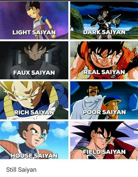 Saiyans Are Still Saiyans Dragon Ball Super Artwork Dragon Ball Super