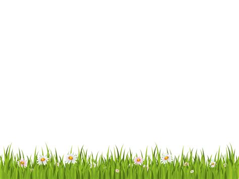 Grass Png Transparent PNG Png Collections At Dlf Pt