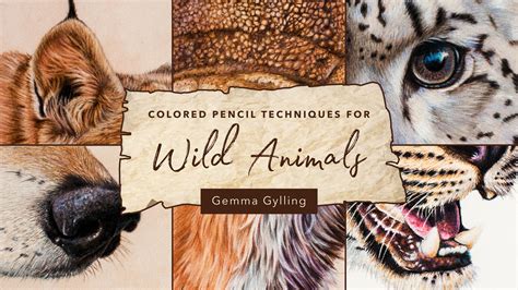 You can edit any of drawings via our online image editor before downloading. Colored Pencil Techniques for Wild Animals | Craftsy