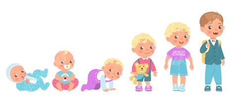 Growing Up Vector Hd Png Images Baby Boy Growing Up Process Vector