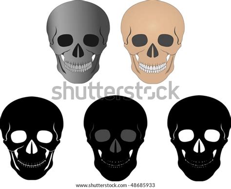 Set Skulls Vector Illustration Stock Vector Royalty Free 48685933
