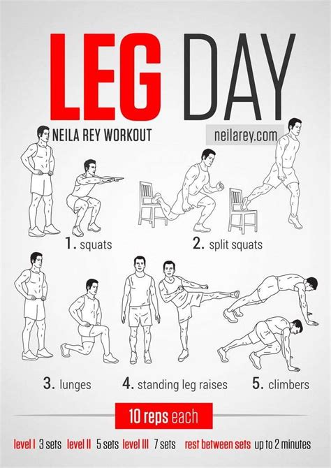 Home Leg Workouts 1 Minute For Each Workout