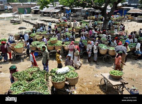 Mango Market Bangladesh Hi Res Stock Photography And Images Alamy