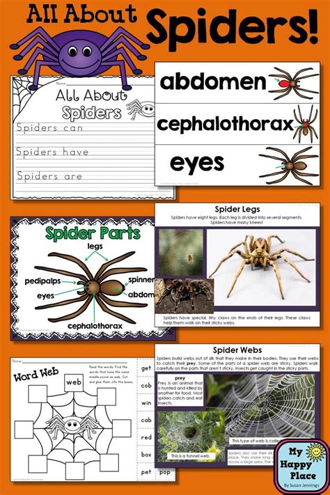 spiders an informational thematic unit for kindergarten first grade science writing math
