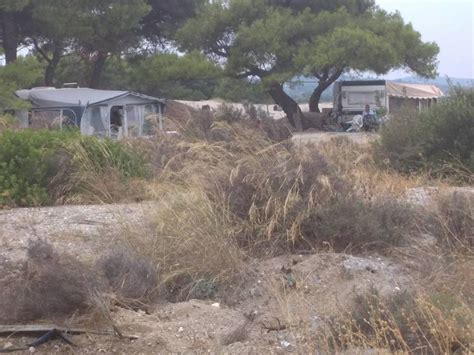 Κρούσμα κορωνοϊού σε ανήλικη εντοπίστηκε σε παιδική κατασκήνωση στην περιοχή της χαλκιδικής. Χαλκιδική: Εικόνες ντροπής σε διάσημη παραλία της Κασσάνδρας - Έφυγαν και άφησαν πίσω αυτές τις ...