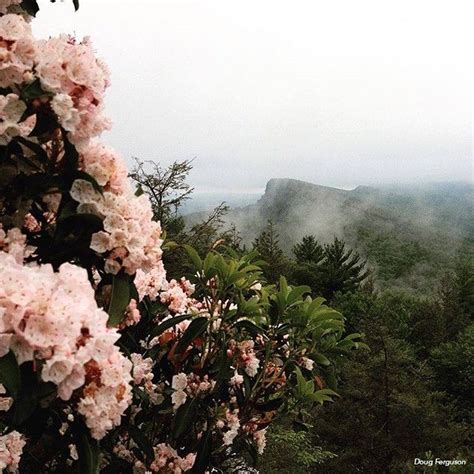 Mohonk Preserve On Instagram Another Foggy Morning Here In The Gunks