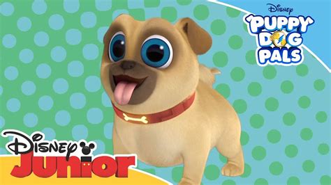 Puppy Dog Pals Introducing Rolly Official Disney Channel Africa