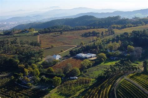 Thelema Mountain Vineyards Open Africa