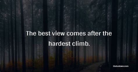 The Best View Comes After The Hardest Climb Mountain Quotes