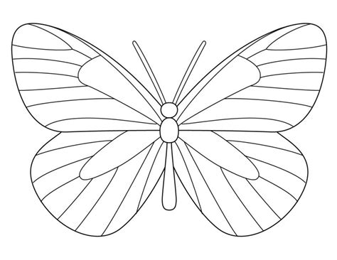 We did not find results for: How to Draw a Butterfly · Art Projects for Kids