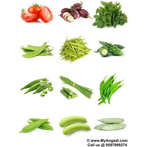 Vegetable Seeds 12 Varieties Basic Combo