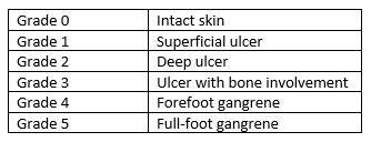 Including those with a history of ulcer or neuropathic fracture. Classification of Diabetic Foot Ulcers | WoundSource