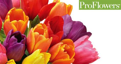 If not, navigate back through the checkout process and try again. 63% Off ProFlowers Coupon Codes for April 2021
