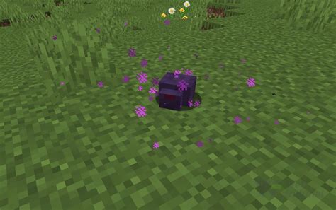 How To Get Ender Pearls In Minecraft And What To Do With Them