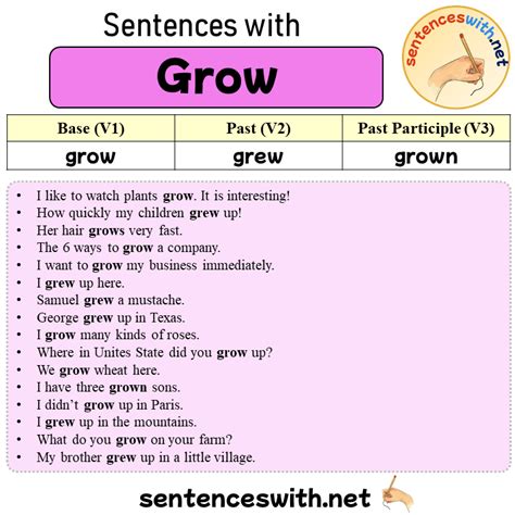 Sentences With Grow Past And Past Participle Form Of Grow V1 V2 V3