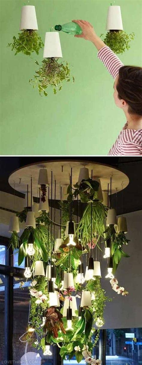 mini indoor garden ideas  green  home amazing diy interior
