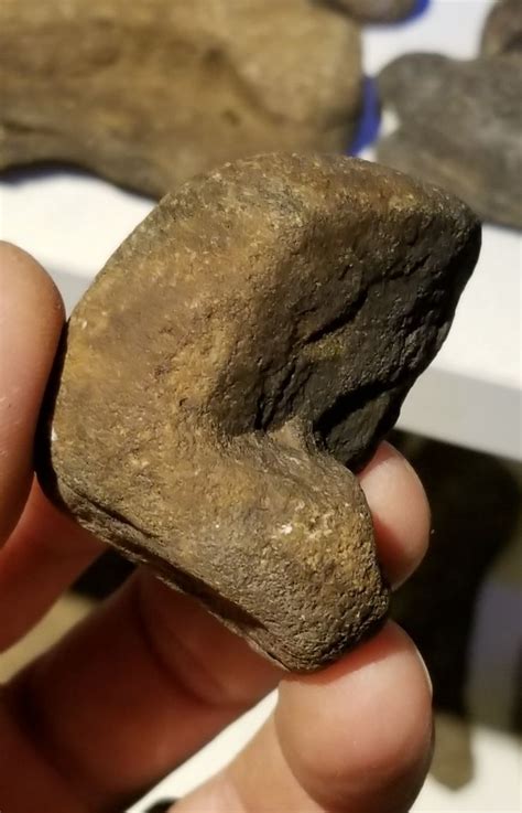 A Person Holding A Rock In Their Hand