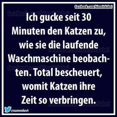 Check spelling or type a new query. Pin auf nett
