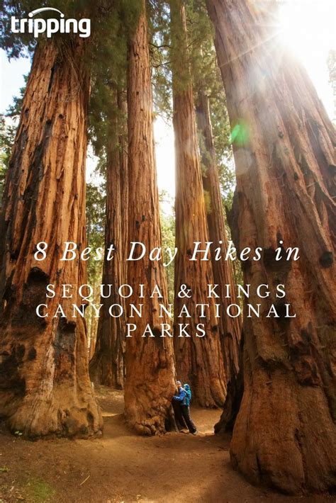 The Best Hikes In Sequoia And Kings Canyon National Parks Heres The