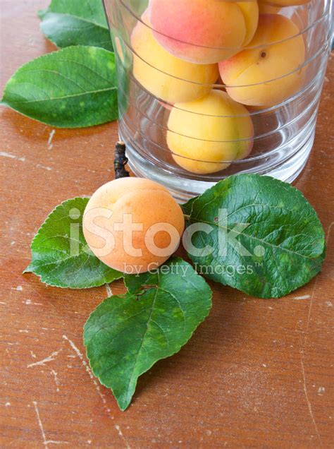 Fresh Apricot And Leaves Stock Photo Royalty Free Freeimages