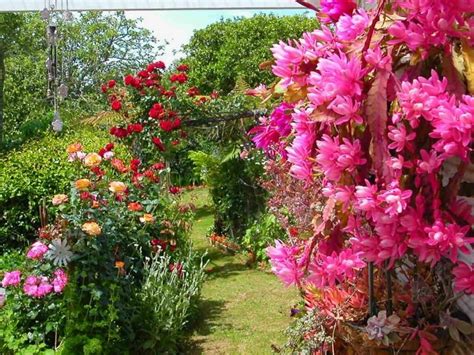 Order by 3pm each friday for saturday delivery. gardens new zealand images | Flower Garden New Zealand ...