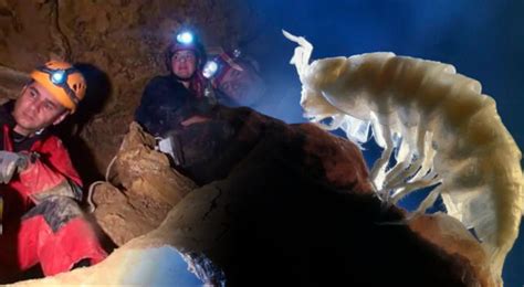Abren Cueva Sellada Durante 5 Millones De Años Y Encuentran Extrañas Especies